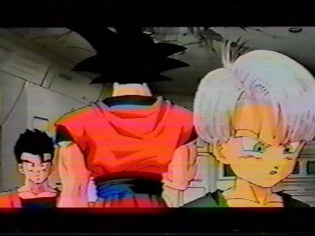 Dragonball Z Movie 13 (25).jpg